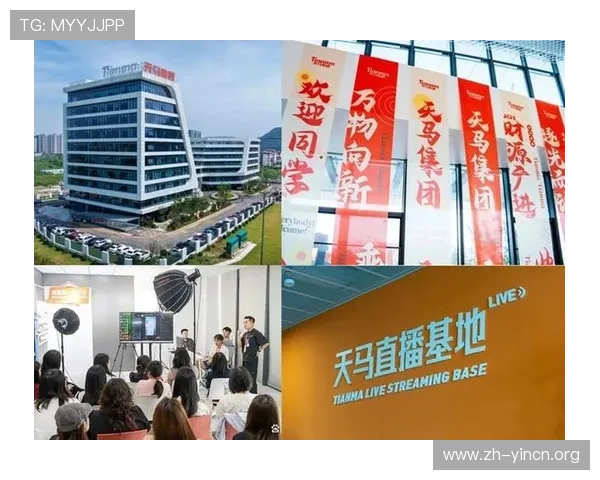 天马国际：通过多渠道合作拓展海外市场，提升企业国际知名度