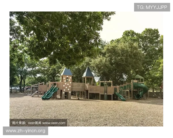 德克萨斯娱乐场：多样化的娱乐项目满足不同游客的休闲娱乐需求