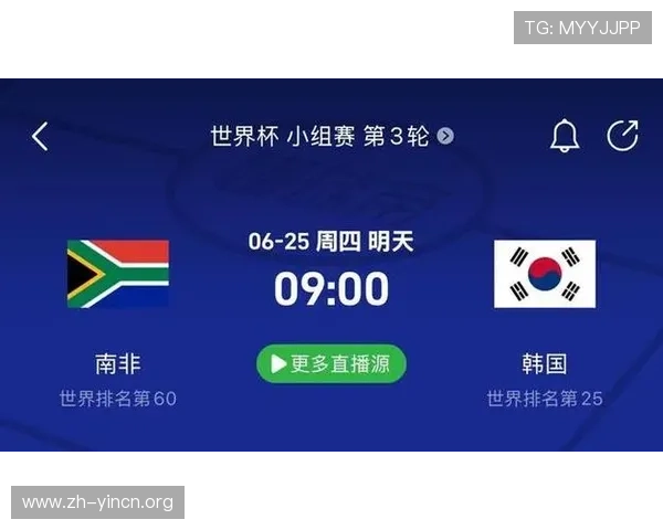 南非与韩国技术统计对比：射门效率、传球成功率及防守数据分析